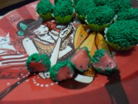 /album/galeria-de-fotos-sobre-nos/minhas-mini-melancias-7-jpg/